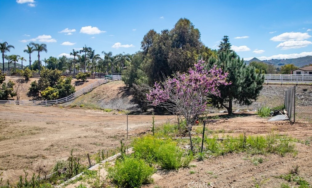 16528 Owl Tree Rd, Riverside CA  92504-9569 exterior
