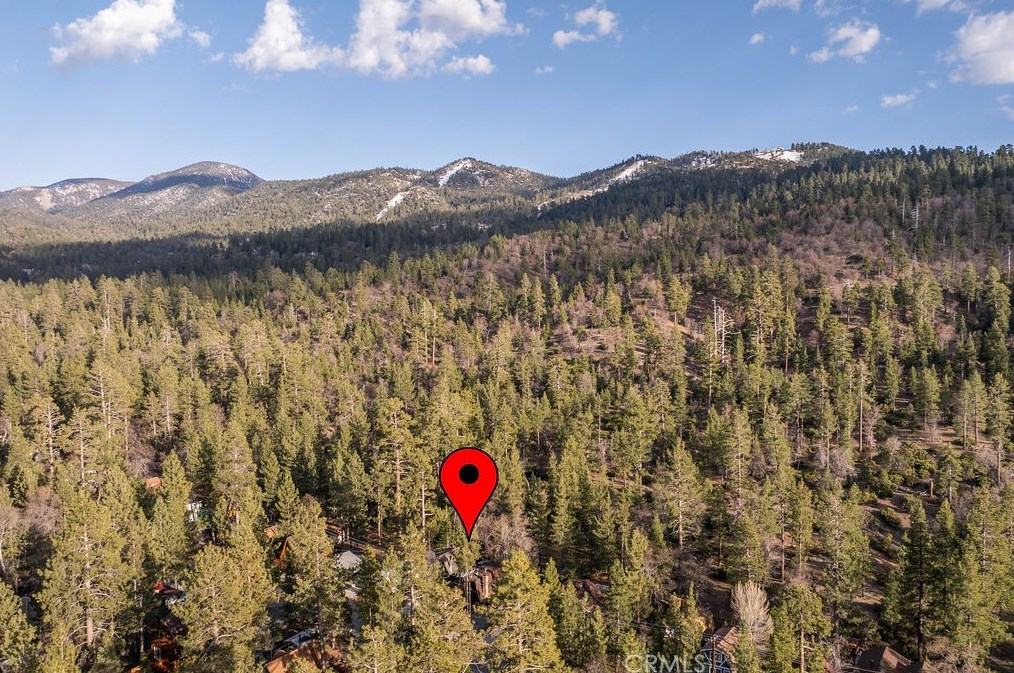 42569 Willow Ave, Big Bear CA  exterior
