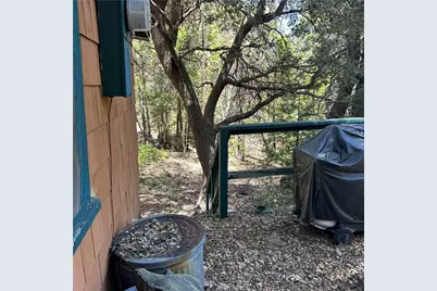 119 Barton Flats Trail, Angeles Oaks, CA 92305 - Photo 11