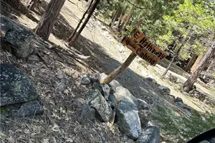 119 Barton Flats Trail, Angeles Oaks, CA 92305 - Photo 15