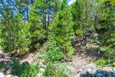 9339 Wood Road, Forest Falls, CA 92339 - Photo 7