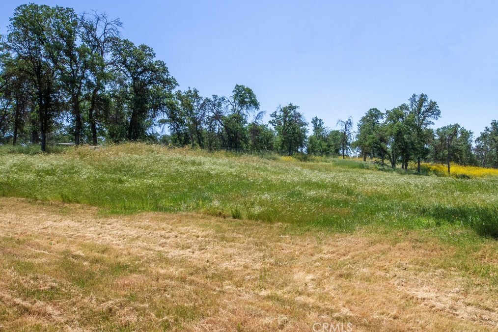 31007 Ruth Hill Rd, Orange Cove CA  93675-9332 exterior