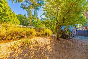 39737 Rd 274, Bass Lake, CA 93604 - Photo 29