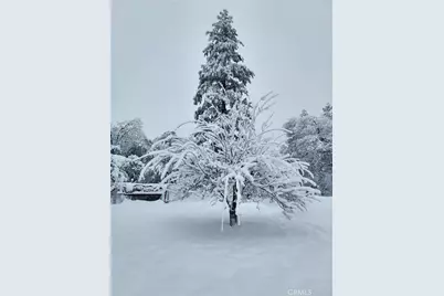 33463 Road 233, North Fork, CA 93643 - Photo 55