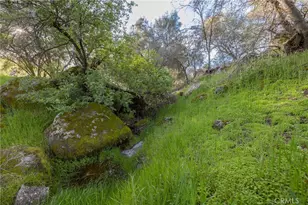 43317 Running Deer Ct, Coarsegold, CA 93614 - Photo 47