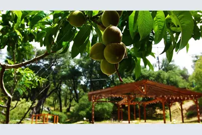 5049 Ca-78, Santa Ysabel, CA 92070 - Photo 55