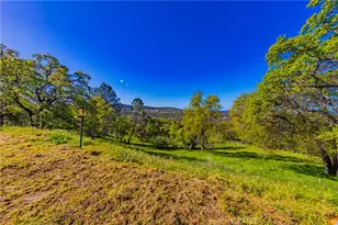 33067 Blue Vista Ct, Coarsegold, CA 93614 - Photo 37