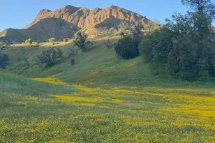 41346 Coalinga Mineral Springs Rd, Coalinga, CA 93210 - Photo 49