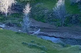 41346 Coalinga Mineral Springs Rd, Coalinga, CA 93210 - Photo 47