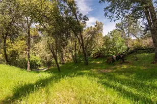 50566 Critter Creek Ln, Oakhurst, CA 93644 - Photo 31