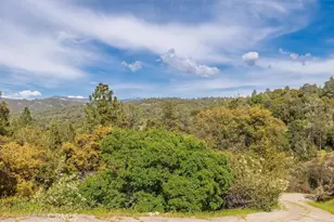 50566 Critter Creek Ln, Oakhurst, CA 93644 - Photo 3