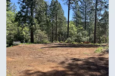3353 Forbestown Road, Oroville, CA 95966 - Photo 19
