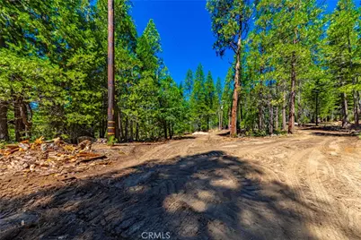 0 River Street, Wawona, CA 95389 - Photo 13