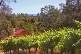 49610 House Ranch Rd, O'Neals, CA 93645 - Photo 15