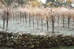 49610 House Ranch Rd, O'Neals, CA 93645 - Photo 37