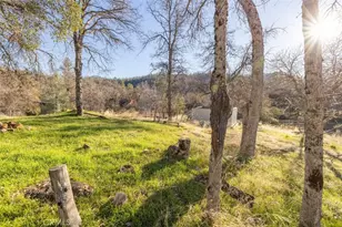 36820 Mudge Ranch Rd, Coarsegold, CA 93614 - Photo 53