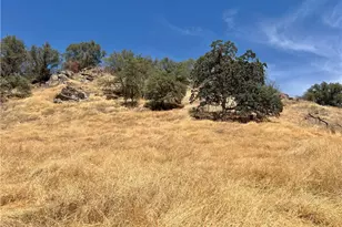 37180 Mistletoe Rd, Squaw Valley, CA 93675 - Photo 33