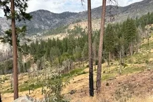 52358 Elder Rd, , CA 93605 - Photo 37