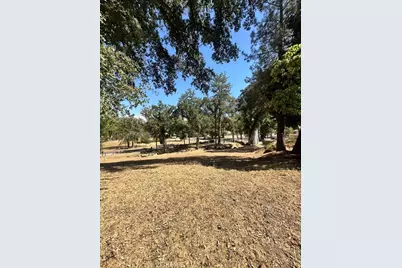 39678 Road 425B #90, Oakhurst, CA 93644 - Photo 25