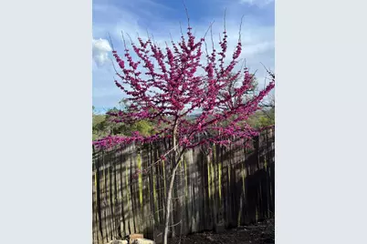 43656 Crystal Cave Circle, Coarsegold, CA 93614 - Photo 39