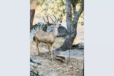 43656 Crystal Cave Circle, Coarsegold, CA 93614 - Photo 47