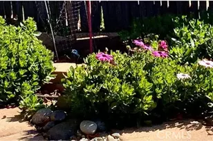 43656 Crystal Cave Cir, Coarsegold, CA 93614 - Photo 37