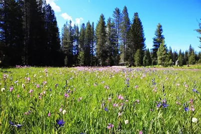 10 Ac Beasore Road, Bass Lake, CA 93604 - Photo 3
