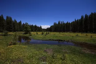 10 Ac Beasore Rd, Bass Lake, CA 93604 - Photo 5