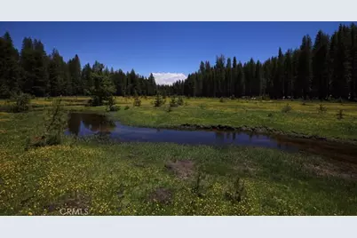 10 Ac Beasore Road, Bass Lake, CA 93604 - Photo 5