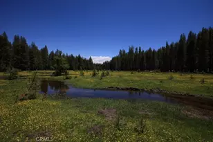 10 Ac Beasore Rd, Bass Lake, CA 93604 - Photo 5