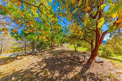 33177 Cascadel Heights Drive, North Fork, CA 93643 - Photo 57
