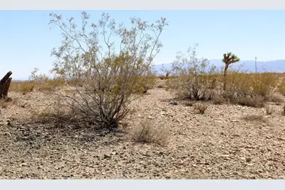 22999 Sunny Vista Road, Joshua Tree, CA 92252 - Photo 9