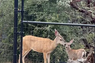 39468 Summit Dr, Oakhurst, CA 93644 - Photo 35