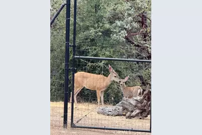 39468 Summit Drive, Oakhurst, CA 93644 - Photo 61