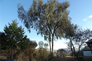 38967 Deerbrook Ln, Squaw Valley, CA 93675 - Photo 39