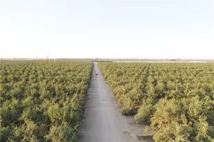 0 N Palm, Wasco, CA 93280 - Photo 1