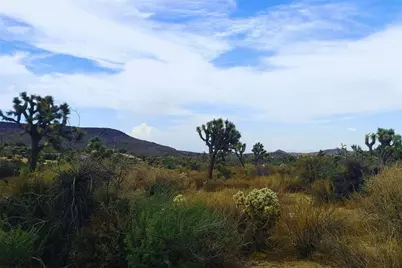 56200 Skyline Ranch Road, Yucca Valley, CA 92284 - Photo 5