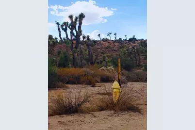 56200 Skyline Ranch Road, Yucca Valley, CA 92284 - Photo 11