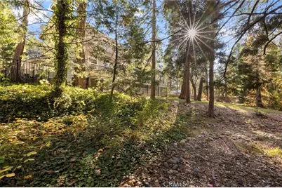 53875 Dogwood Creek, Bass Lake, CA 93604 - Photo 57