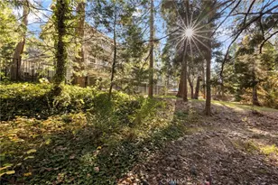 53875 Dogwood Creek, Bass Lake, CA 93604 - Photo 57