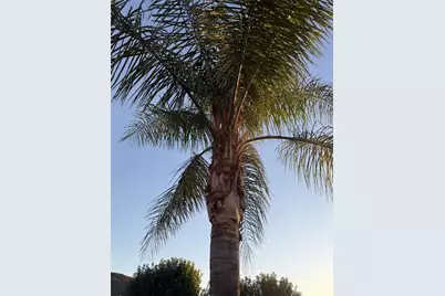 3270 Edgemont Court, San Bernardino, CA 92405 - Photo 39