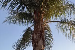 3270 Edgemont Ct, San Bernardino, CA 92405 - Photo 39