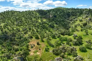 42625 Red Top Mountain Ct, Coarsegold, CA 93614 - Photo 49