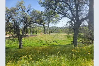 30685 Yosemite Springs Parkway, Coarsegold, CA 93614 - Photo 13