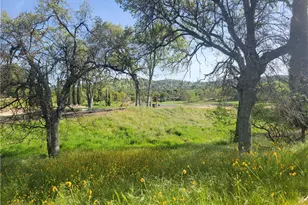 30685 Yosemite Springs Pkwy, Coarsegold, CA 93614 - Photo 13