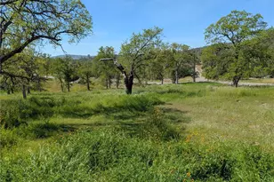 43243 Long Hollow Dr, Coarsegold, CA 93614 - Photo 3