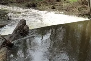 42583 Shady Ln, Oakhurst, CA 93644 - Photo 59