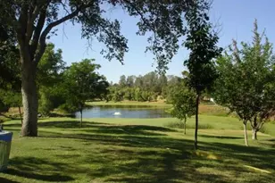 41322 Long Hollow Dr, Coarsegold, CA 93614 - Photo 43