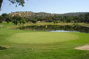 41322 Long Hollow Dr, Coarsegold, CA 93614 - Photo 41