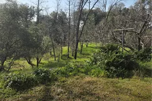 58348 Rd 225, North Fork, CA 93643 - Photo 5